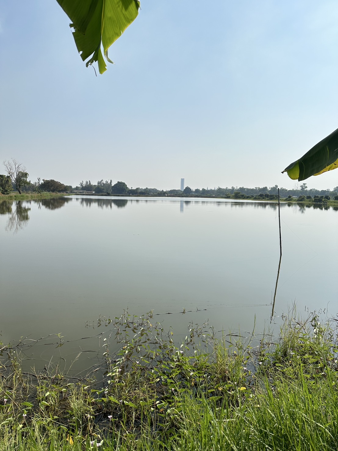 ขายที่ดินแปลงใหญ่ ทำเลทอง ใกล้ ABAC บางนา 