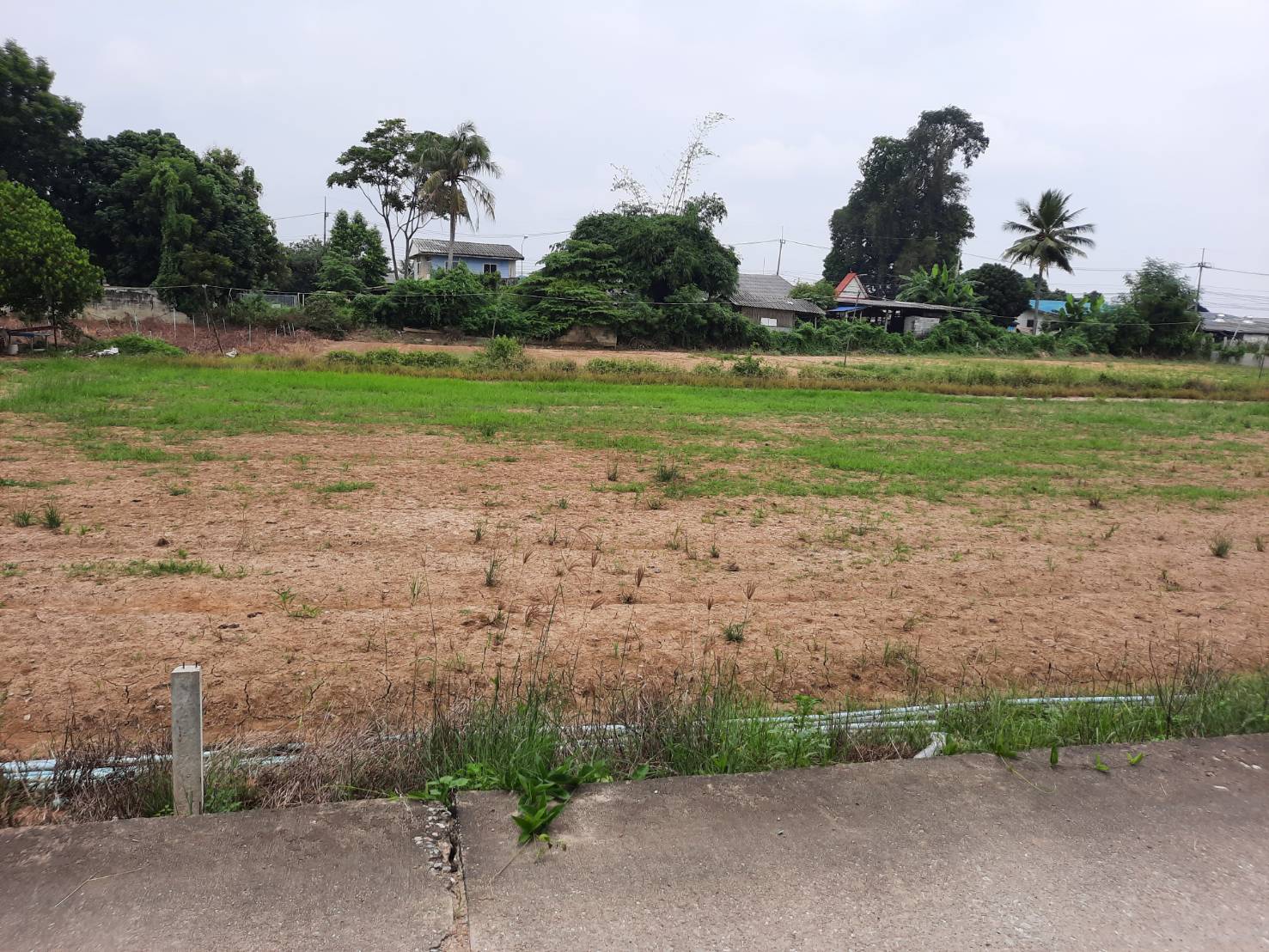 ขายที่ดินเปล่า ทำเลดี  ตำบลโพรงมะเดื่อ อำเภอเมืองนครปฐม จังหวัดนครปฐม