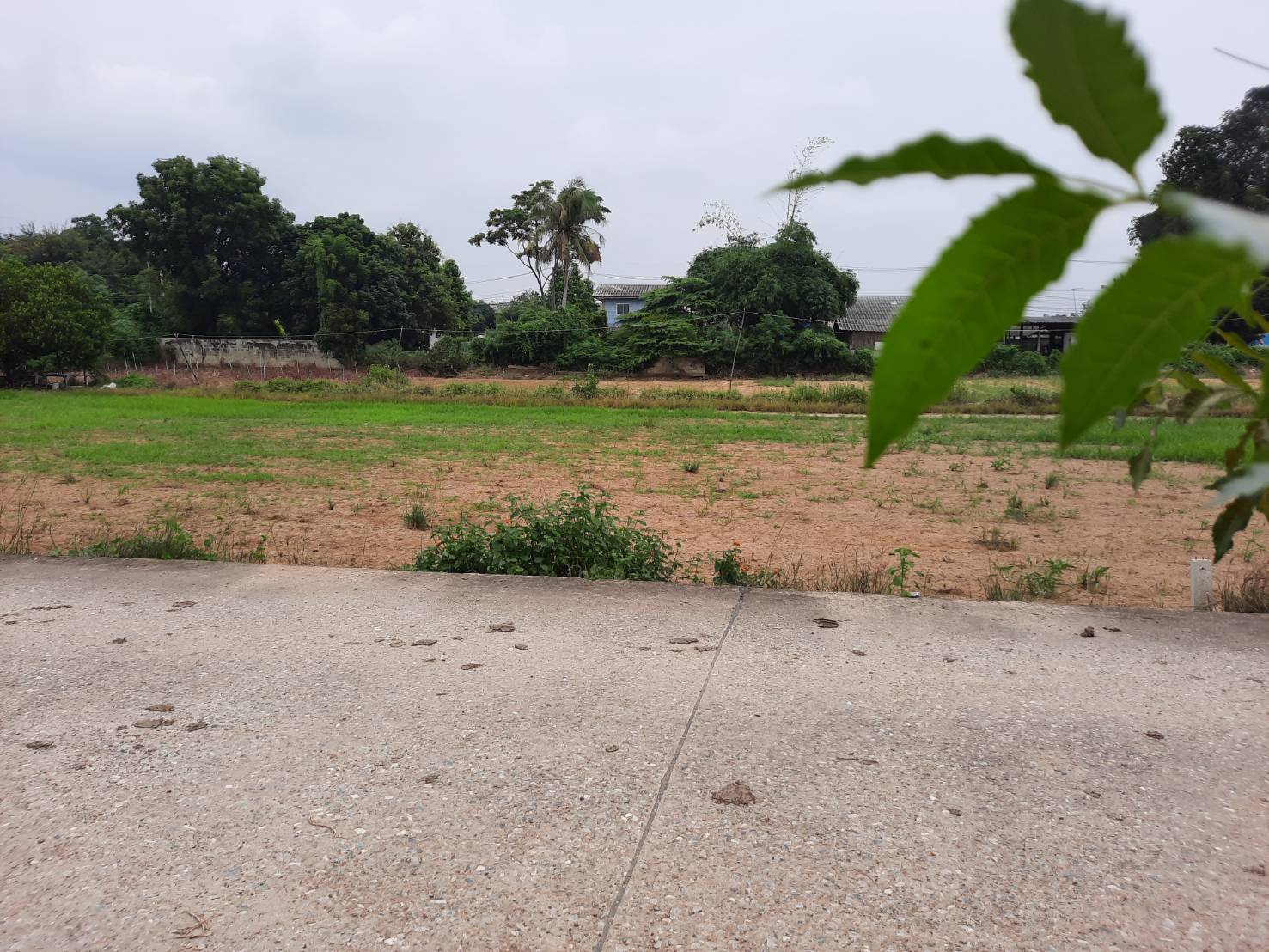 ขายที่ดินเปล่า ทำเลดี  ตำบลโพรงมะเดื่อ อำเภอเมืองนครปฐม จังหวัดนครปฐม