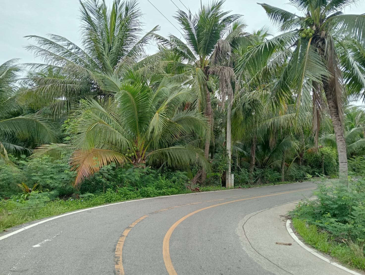 ขายที่ดินทำเลดี ตำบลท่าคา อ.อัมพวา  จ.สมุทรสงคราม