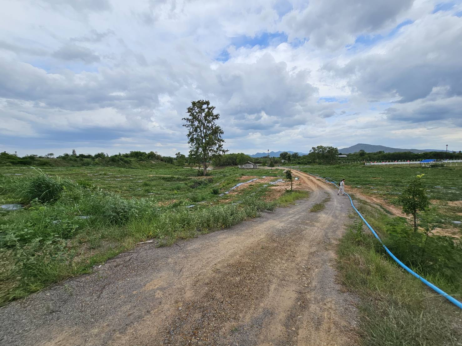 ขายที่ดินห้วยไม้เต็ง  ทำเลดี ที่ดินแปลงสวย อำเภอจอมบึง จังหวัดราชบุรี