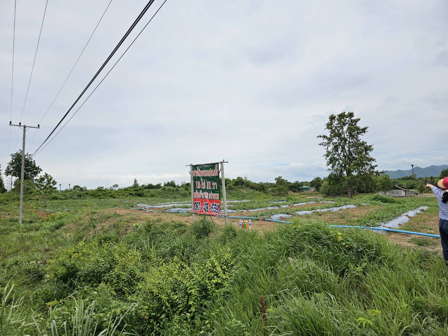 ขายที่ดินห้วยไม้เต็ง  ทำเลดี ที่ดินแปลงสวย อำเภอจอมบึง จังหวัดราชบุรี