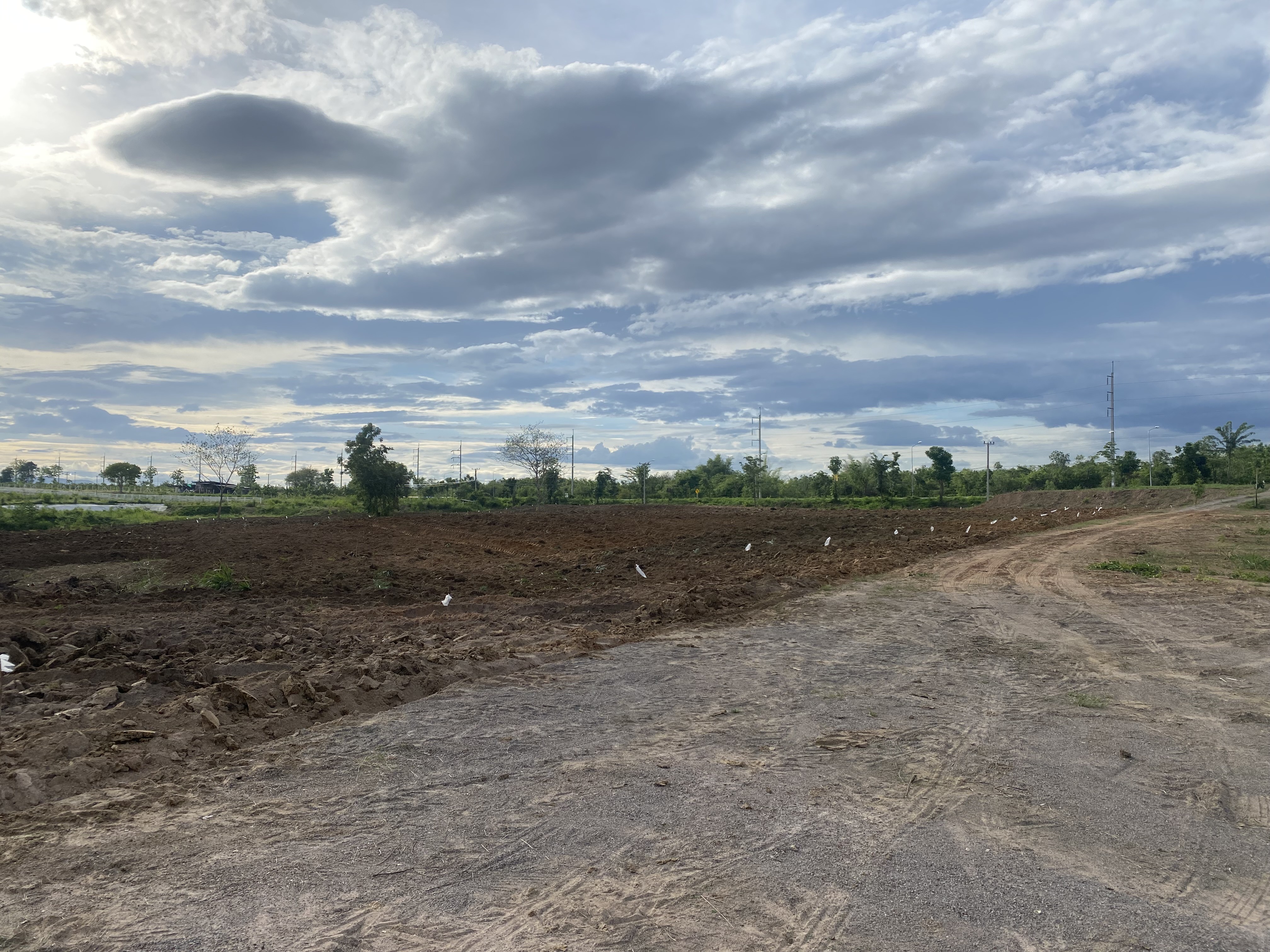 ขายที่ดินห้วยไม้เต็ง  ทำเลดี ที่ดินแปลงสวย อำเภอจอมบึง จังหวัดราชบุรี