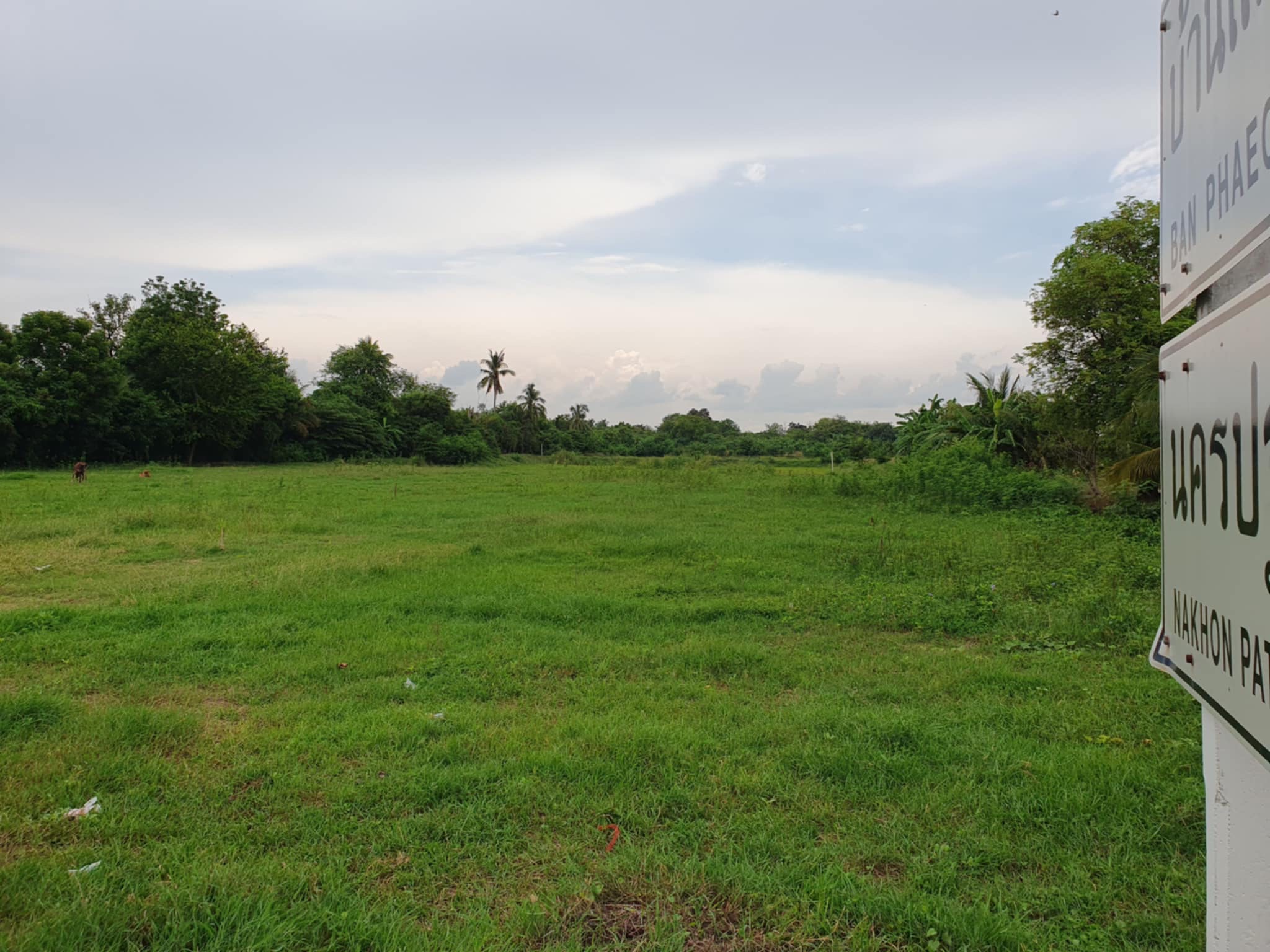 ขายที่ดินเปล่า มีโฉนด พื้นที่สีม่วง ทำเลดี แปลงสวย อำเภอบางแพ จังหวัดราชบุรี 