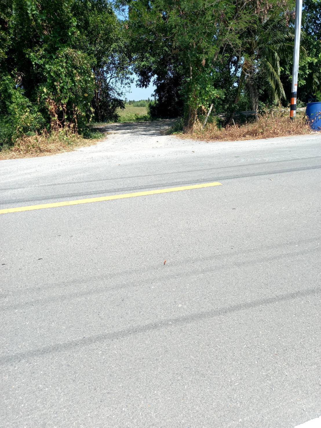 ขายที่ดิน พร้อมตึก 2 ชั้น ทำเลดี  ต.ห้วยพลู อ.นครชัยศรี  จ.นครปฐม