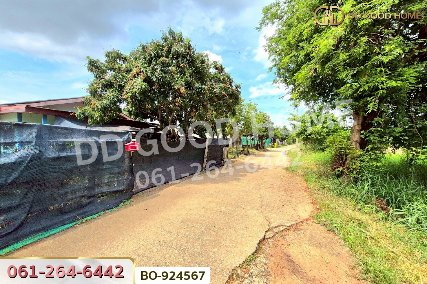 BO-924567 ที่ดินบ้านใหม่ 9 ไร่ 237 ตร.ว. นครราชสีมา ใกล้ที่ว่าการอำเภอครบุรี