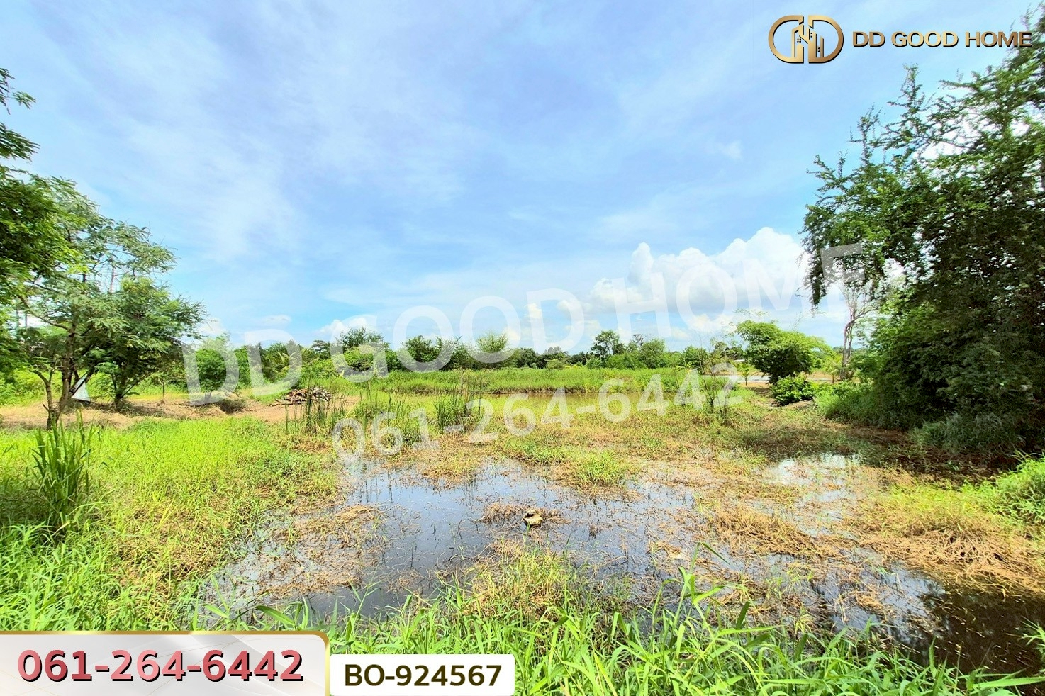 BO-924567 ที่ดินบ้านใหม่ 9 ไร่ 237 ตร.ว. นครราชสีมา ใกล้ที่ว่าการอำเภอครบุรี