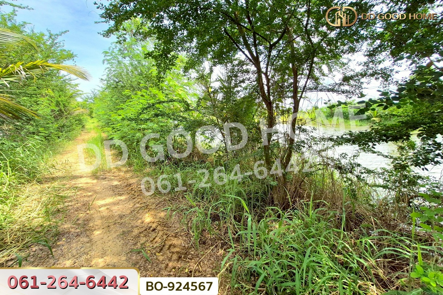 BO-924567 ที่ดินบ้านใหม่ 9 ไร่ 237 ตร.ว. นครราชสีมา ใกล้ที่ว่าการอำเภอครบุรี