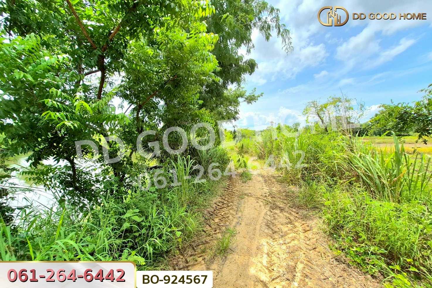 BO-924567 ที่ดินบ้านใหม่ 9 ไร่ 237 ตร.ว. นครราชสีมา ใกล้ที่ว่าการอำเภอครบุรี