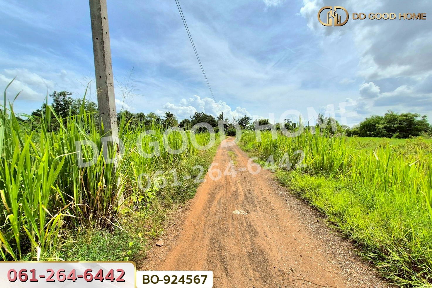 BO-924567 ที่ดินบ้านใหม่ 9 ไร่ 237 ตร.ว. นครราชสีมา ใกล้ที่ว่าการอำเภอครบุรี