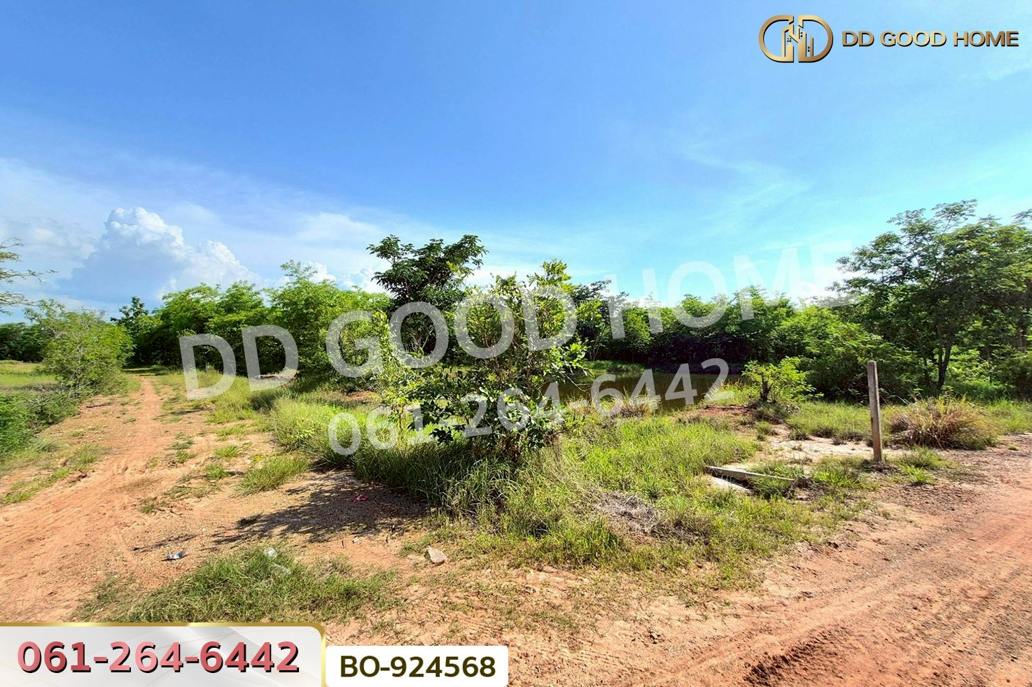 BO-924568 ที่ดินโนนไทย 17 ไร่ 142 ตร.ว. นครราชสีมา ใกล้โลตัส โนนไทย