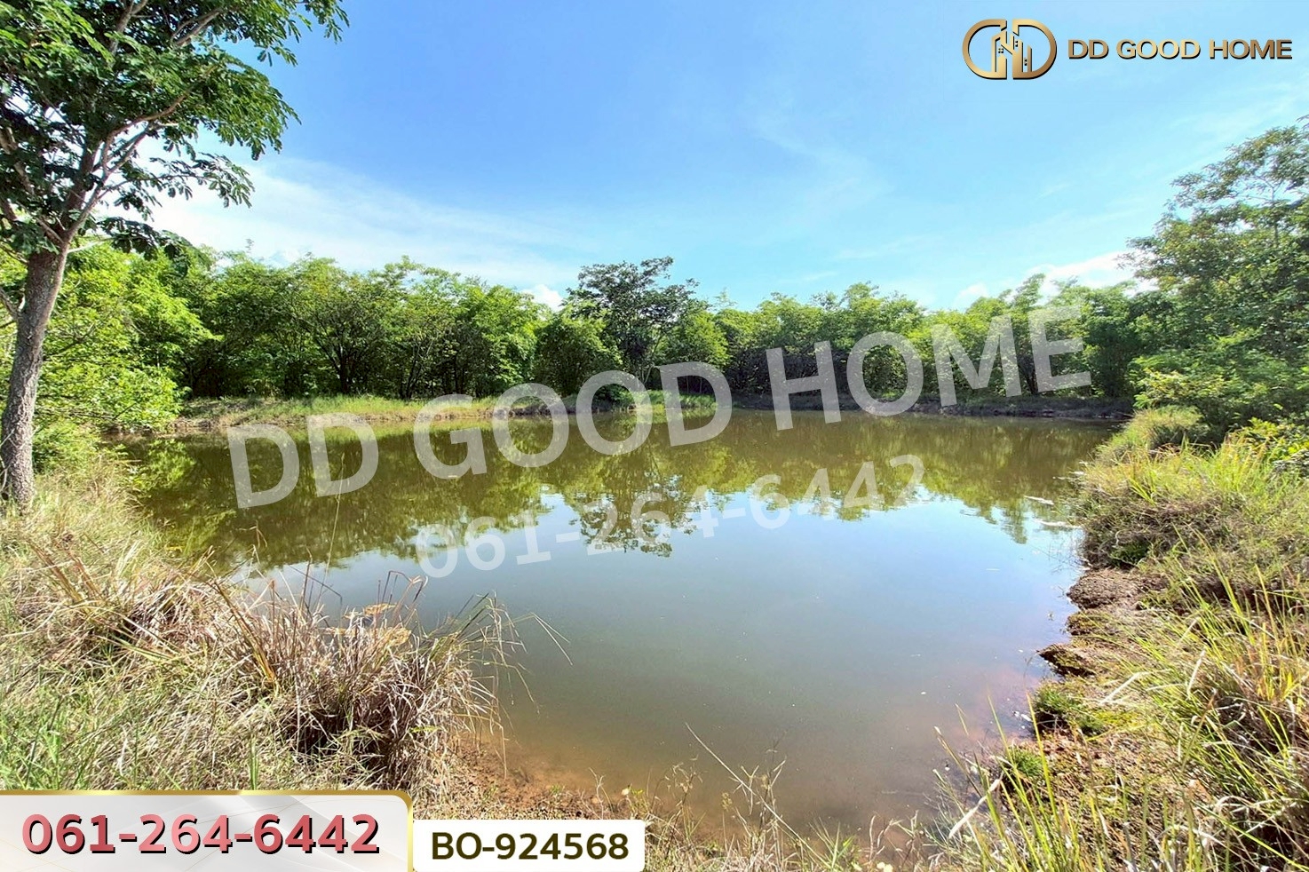 BO-924568 ที่ดินโนนไทย 17 ไร่ 142 ตร.ว. นครราชสีมา ใกล้โลตัส โนนไทย