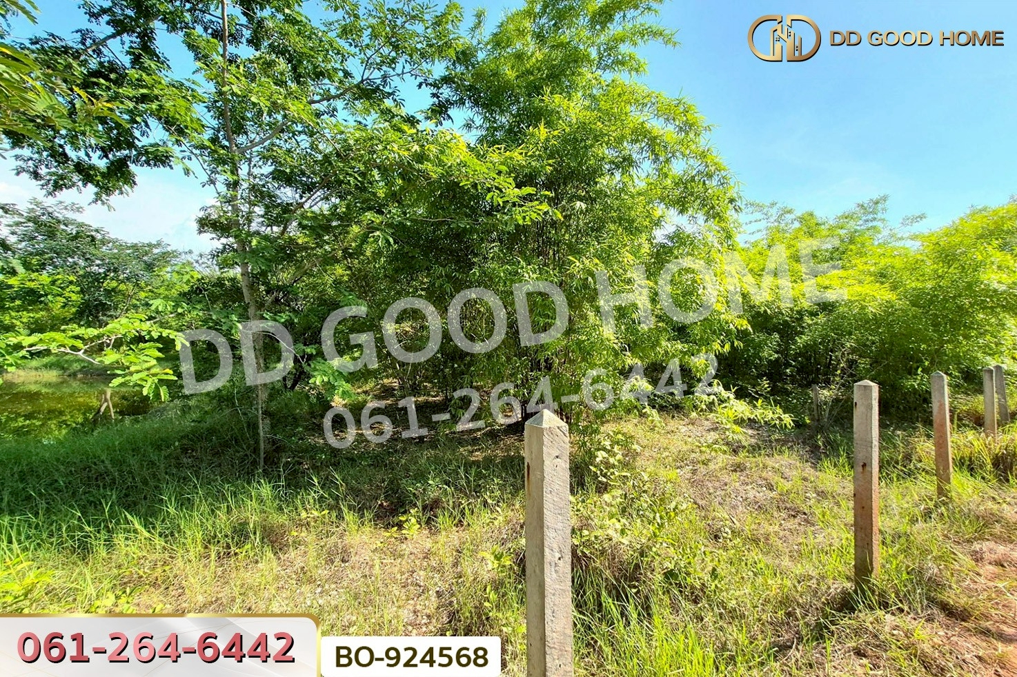 BO-924568 ที่ดินโนนไทย 17 ไร่ 142 ตร.ว. นครราชสีมา ใกล้โลตัส โนนไทย