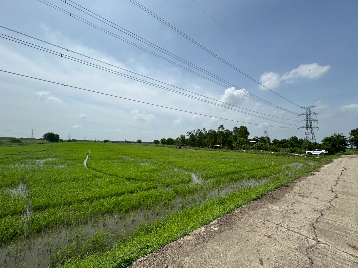 ขายที่ดิน เนื้อที่ 100 ไร่เศษ อ.วังน้อย จังหวัดพระนครศรีอยุธยา