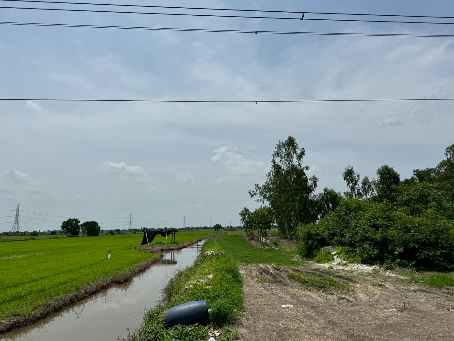 ขายที่ดิน เนื้อที่ 100 ไร่เศษ อ.วังน้อย จังหวัดพระนครศรีอยุธยา