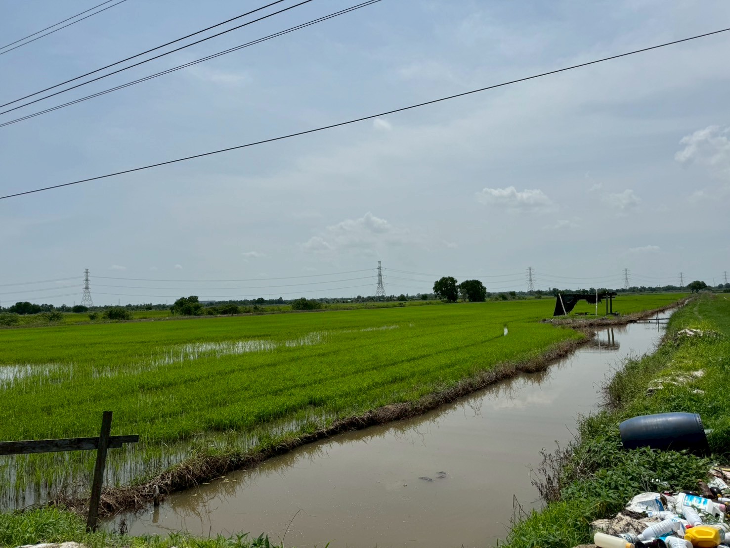 ขายที่ดิน เนื้อที่ 100 ไร่เศษ อ.วังน้อย จังหวัดพระนครศรีอยุธยา