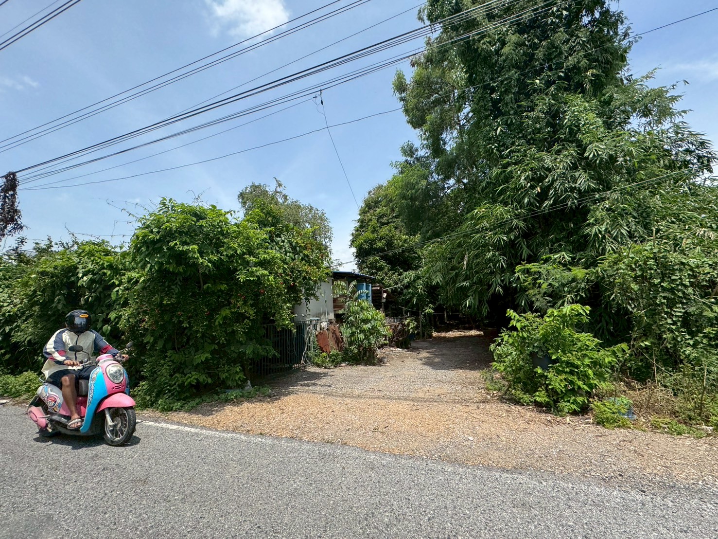 ขายที่ดิน เนื้อที่ 100 ไร่เศษ อ.วังน้อย จังหวัดพระนครศรีอยุธยา