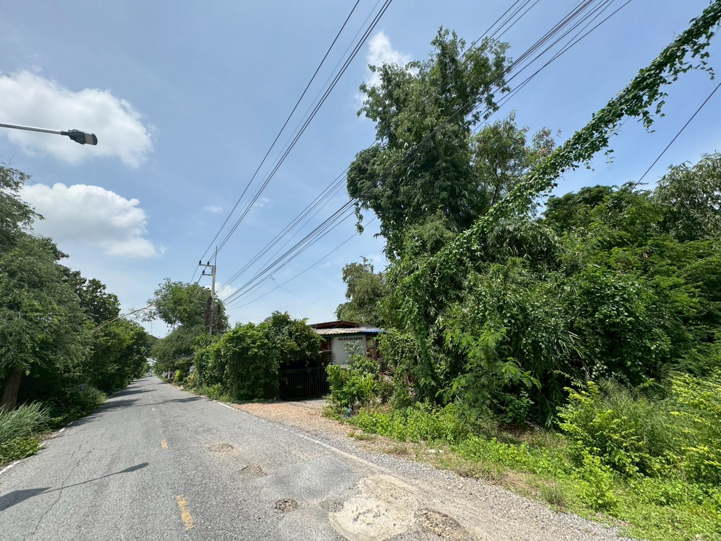 ขายที่ดิน เนื้อที่ 100 ไร่เศษ อ.วังน้อย จังหวัดพระนครศรีอยุธยา