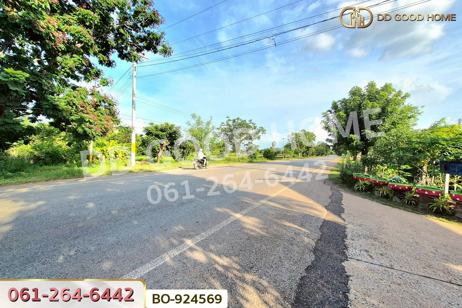 BO-924569 ที่ดินขามสะแกแสง 24 ไร่ 194.3 ตร.ว. นครราชสีมา ใกล้ที่ว่าการอำเภอขามสะแกแสง