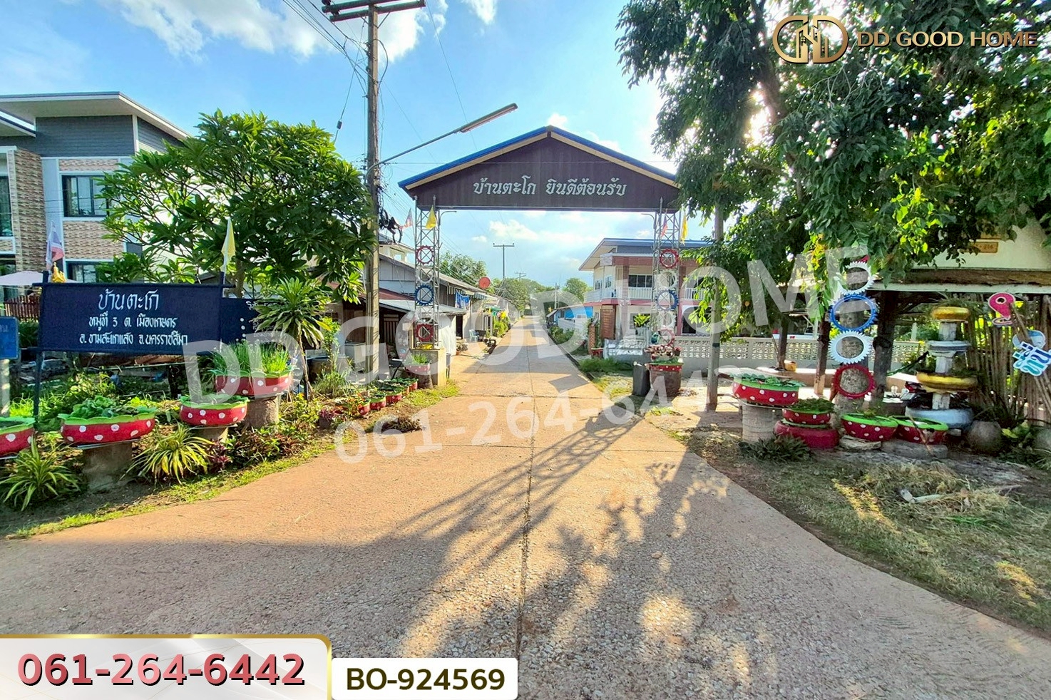 BO-924569 ที่ดินขามสะแกแสง 24 ไร่ 194.3 ตร.ว. นครราชสีมา ใกล้ที่ว่าการอำเภอขามสะแกแสง