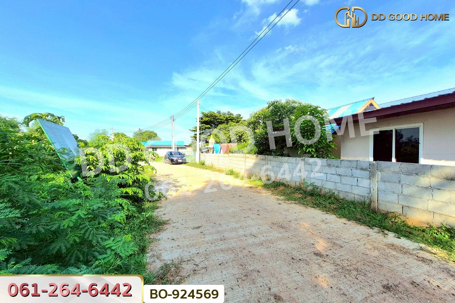 BO-924569 ที่ดินขามสะแกแสง 24 ไร่ 194.3 ตร.ว. นครราชสีมา ใกล้ที่ว่าการอำเภอขามสะแกแสง