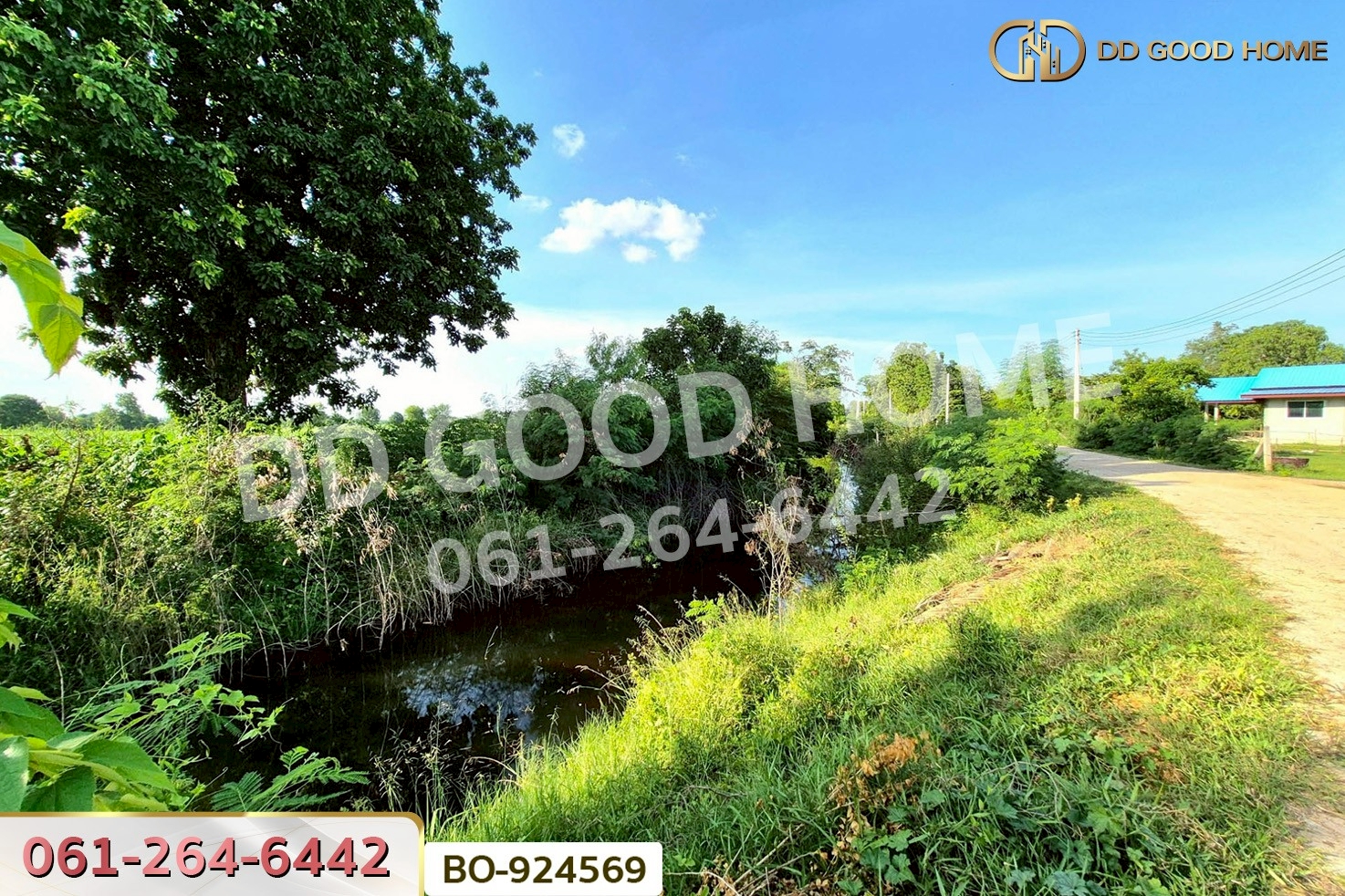 BO-924569 ที่ดินขามสะแกแสง 24 ไร่ 194.3 ตร.ว. นครราชสีมา ใกล้ที่ว่าการอำเภอขามสะแกแสง