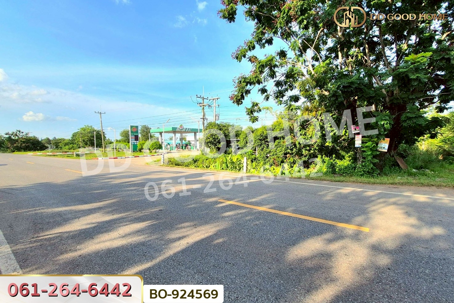 BO-924569 ที่ดินขามสะแกแสง 24 ไร่ 194.3 ตร.ว. นครราชสีมา ใกล้ที่ว่าการอำเภอขามสะแกแสง
