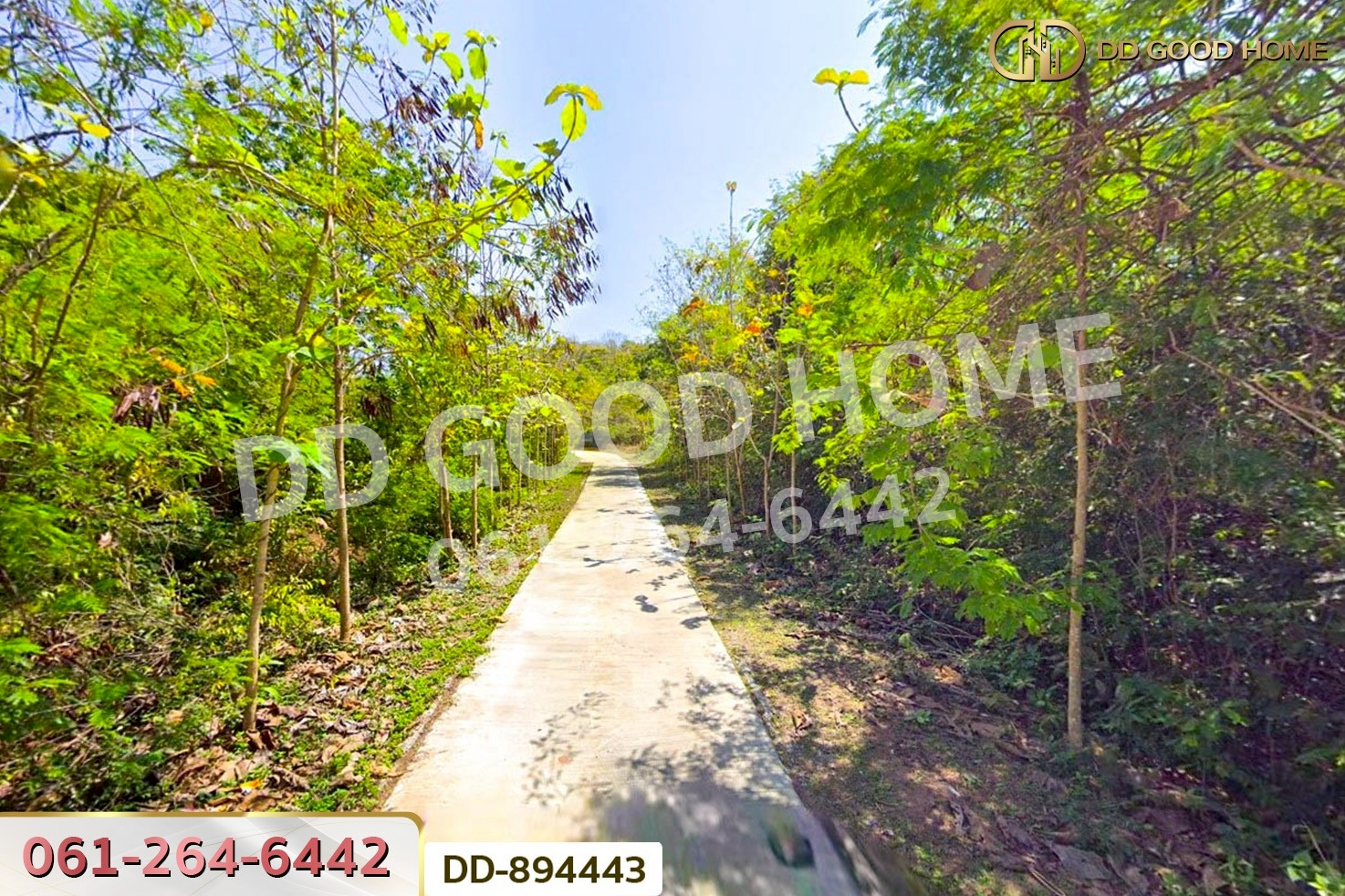 DD-894443 ที่ดินเมืองหนองบัวลำภู 2 ไร่ 37 ตร.ว. ใกล้โรงพยาบาลหนองบัวลำภู