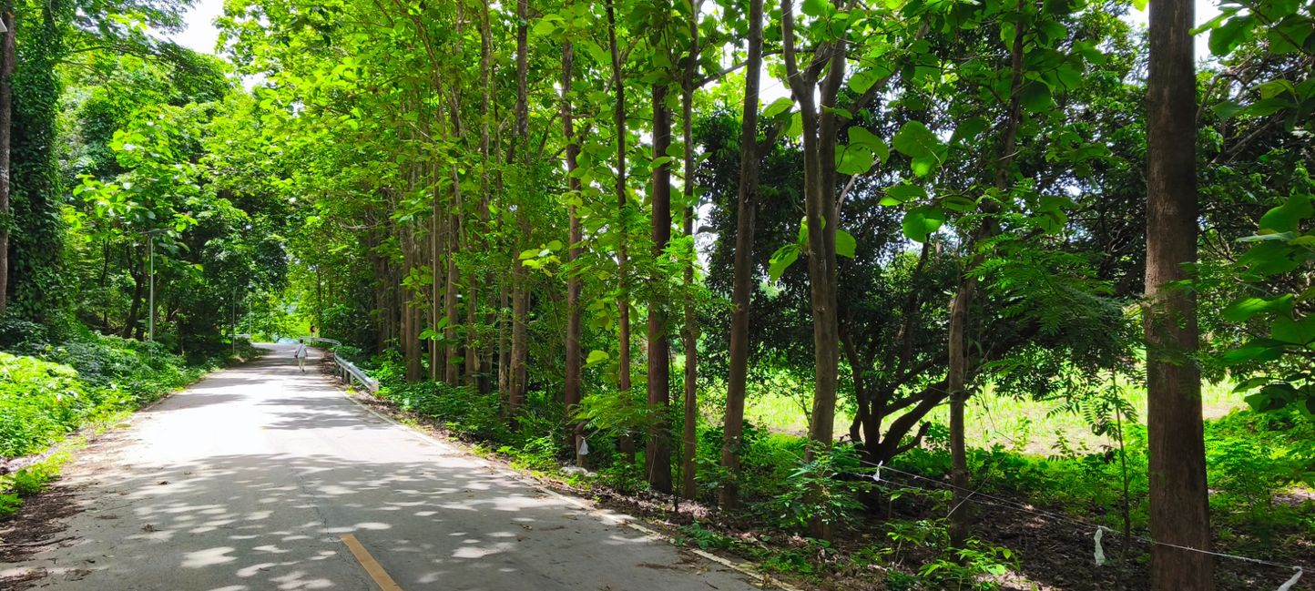 ขายที่ดินเปล่า2เเปลงติดกัน ทำเลดี ด้านหน้าติดถนนดำวิวภูเขา ด้านหลังติดลำธาร อำเภอสันกำแพง จังหวัดเชียงใหม่