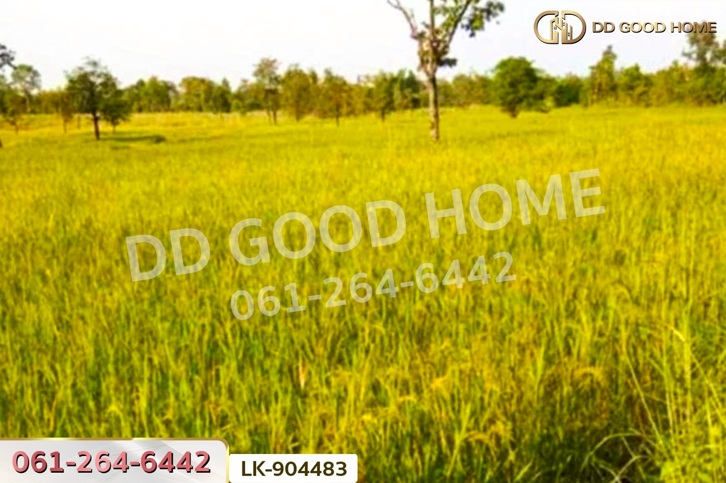 LK-904483 ที่ดินคำตากล้า 19 ไร่ 388 ตร.ว. สกลนคร ใกล้วัดคีรีวรรณวนาราม