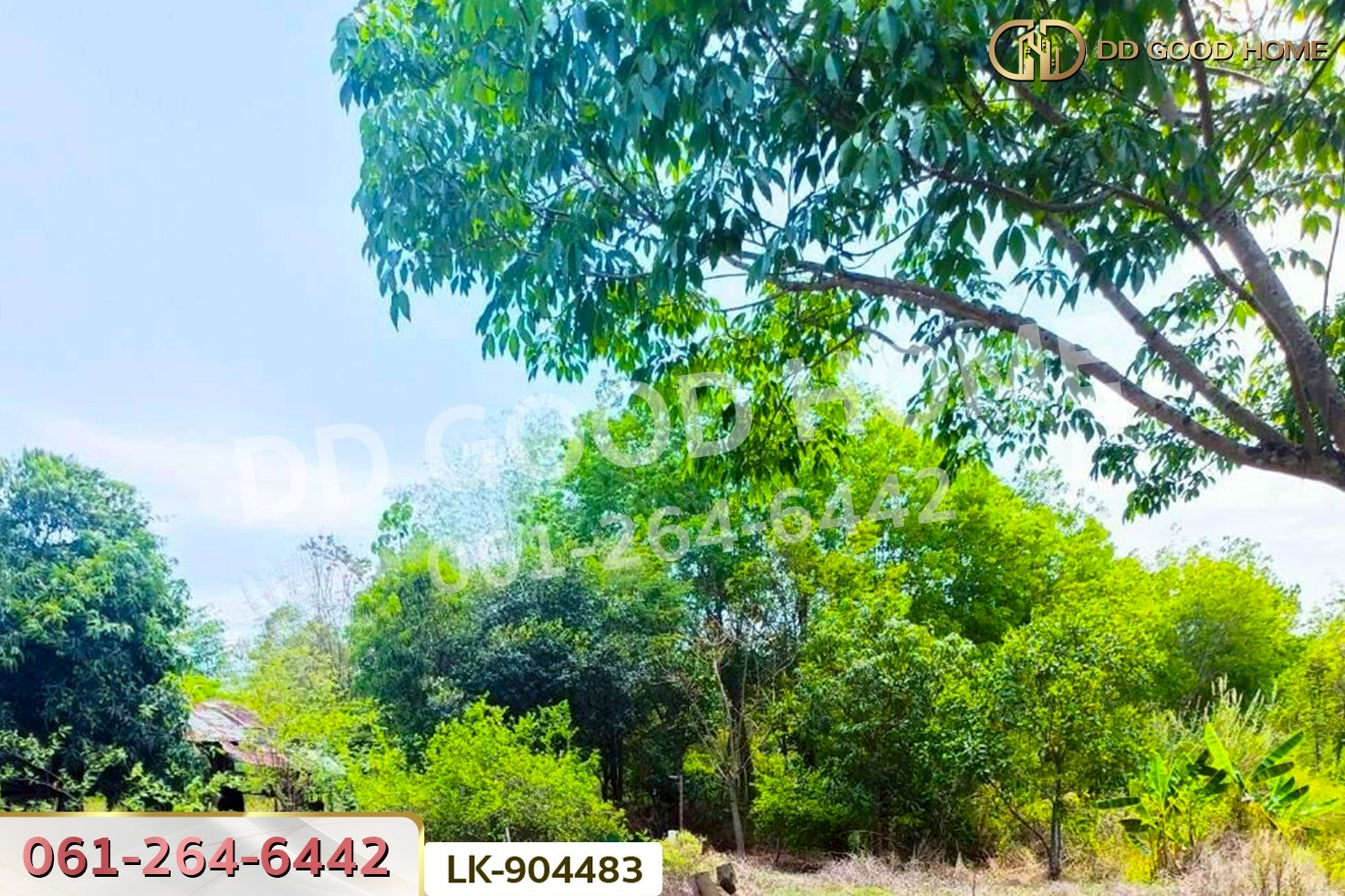 LK-904483 ที่ดินคำตากล้า 19 ไร่ 388 ตร.ว. สกลนคร ใกล้วัดคีรีวรรณวนาราม