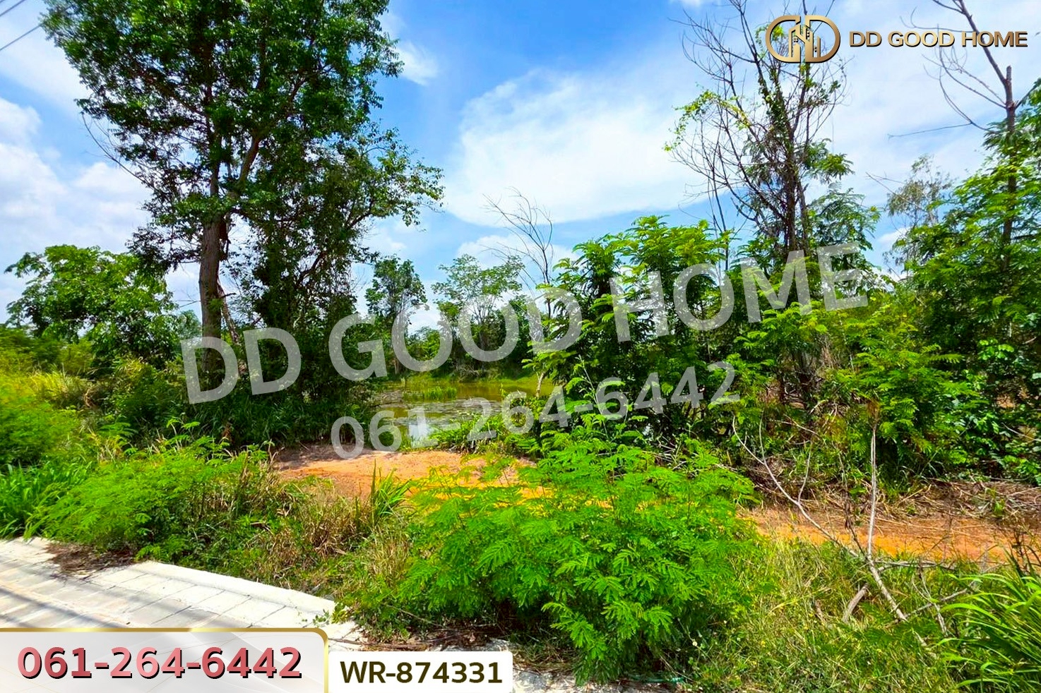 WR-874331 ที่ดิน 76 ไร่ 174 ตร.ว. เมืองหนองบัวลำภู ใกล้สำนักงานเทศบาลเมืองหนองบัวลำภู