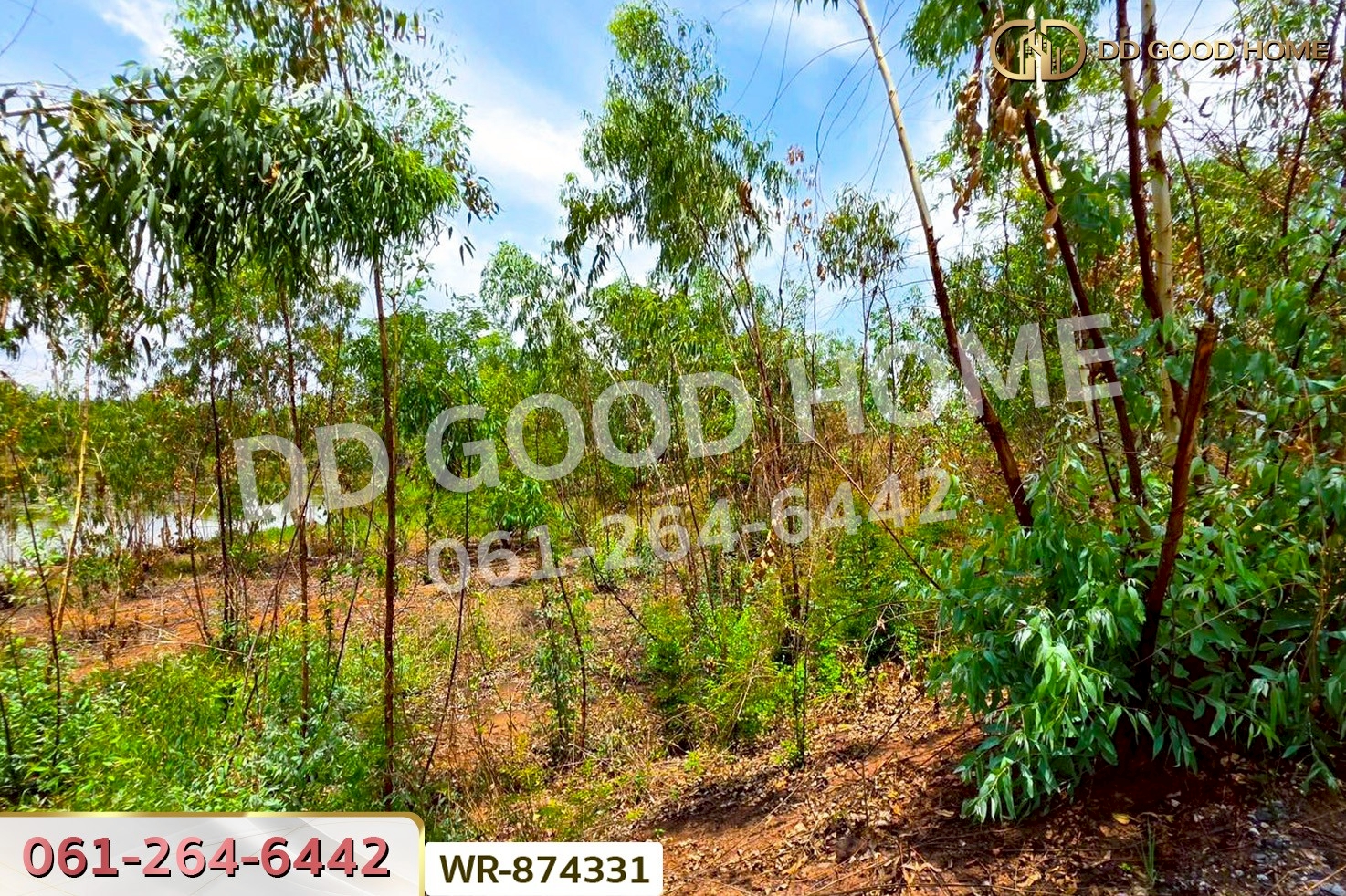 WR-874331 ที่ดิน 76 ไร่ 174 ตร.ว. เมืองหนองบัวลำภู ใกล้สำนักงานเทศบาลเมืองหนองบัวลำภู