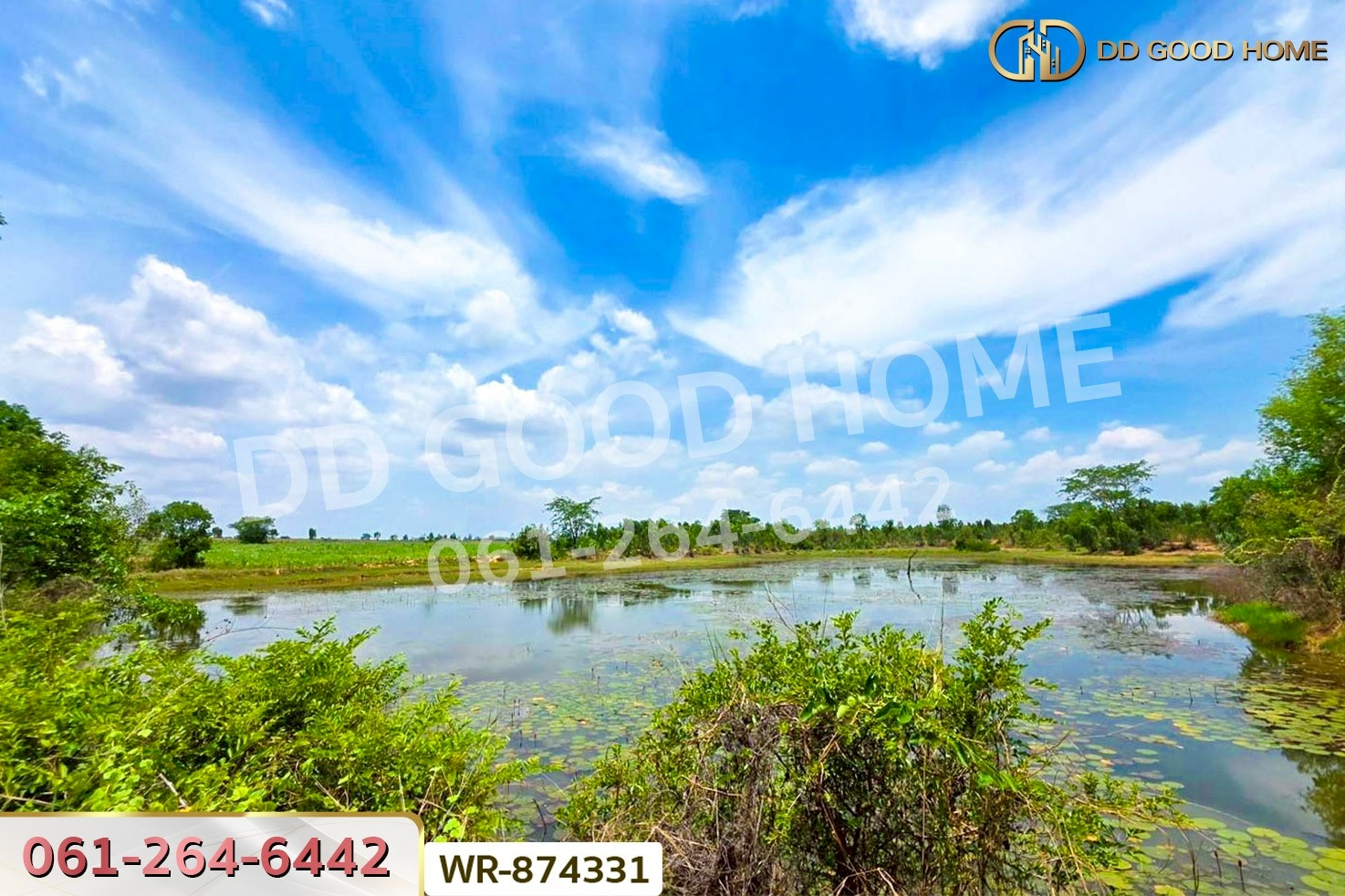 WR-874331 ที่ดิน 76 ไร่ 174 ตร.ว. เมืองหนองบัวลำภู ใกล้สำนักงานเทศบาลเมืองหนองบัวลำภู