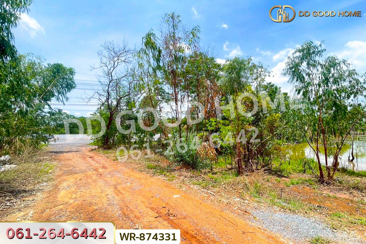 WR-874331 ที่ดิน 76 ไร่ 174 ตร.ว. เมืองหนองบัวลำภู ใกล้สำนักงานเทศบาลเมืองหนองบัวลำภู