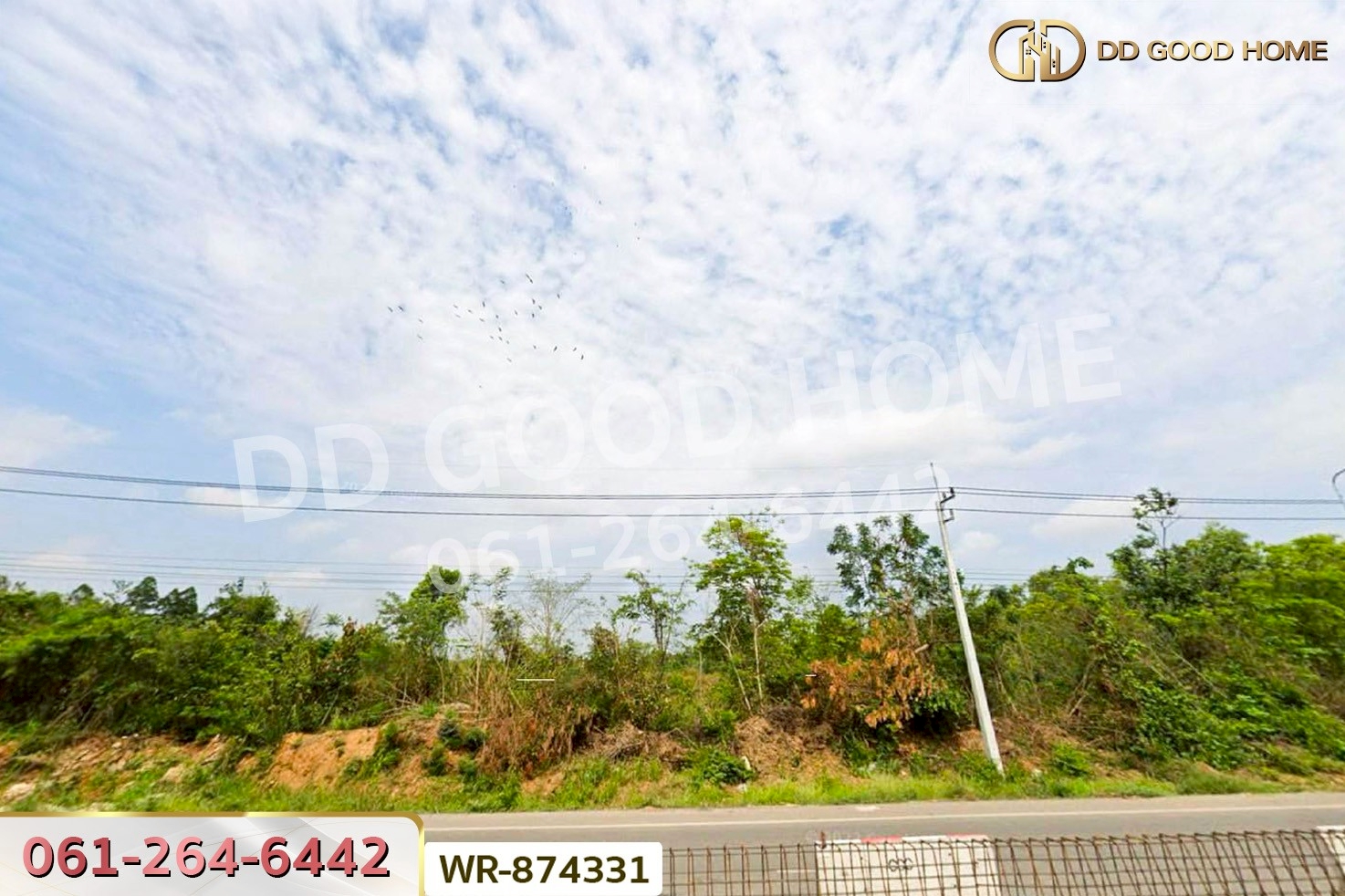 WR-874331 ที่ดิน 76 ไร่ 174 ตร.ว. เมืองหนองบัวลำภู ใกล้สำนักงานเทศบาลเมืองหนองบัวลำภู