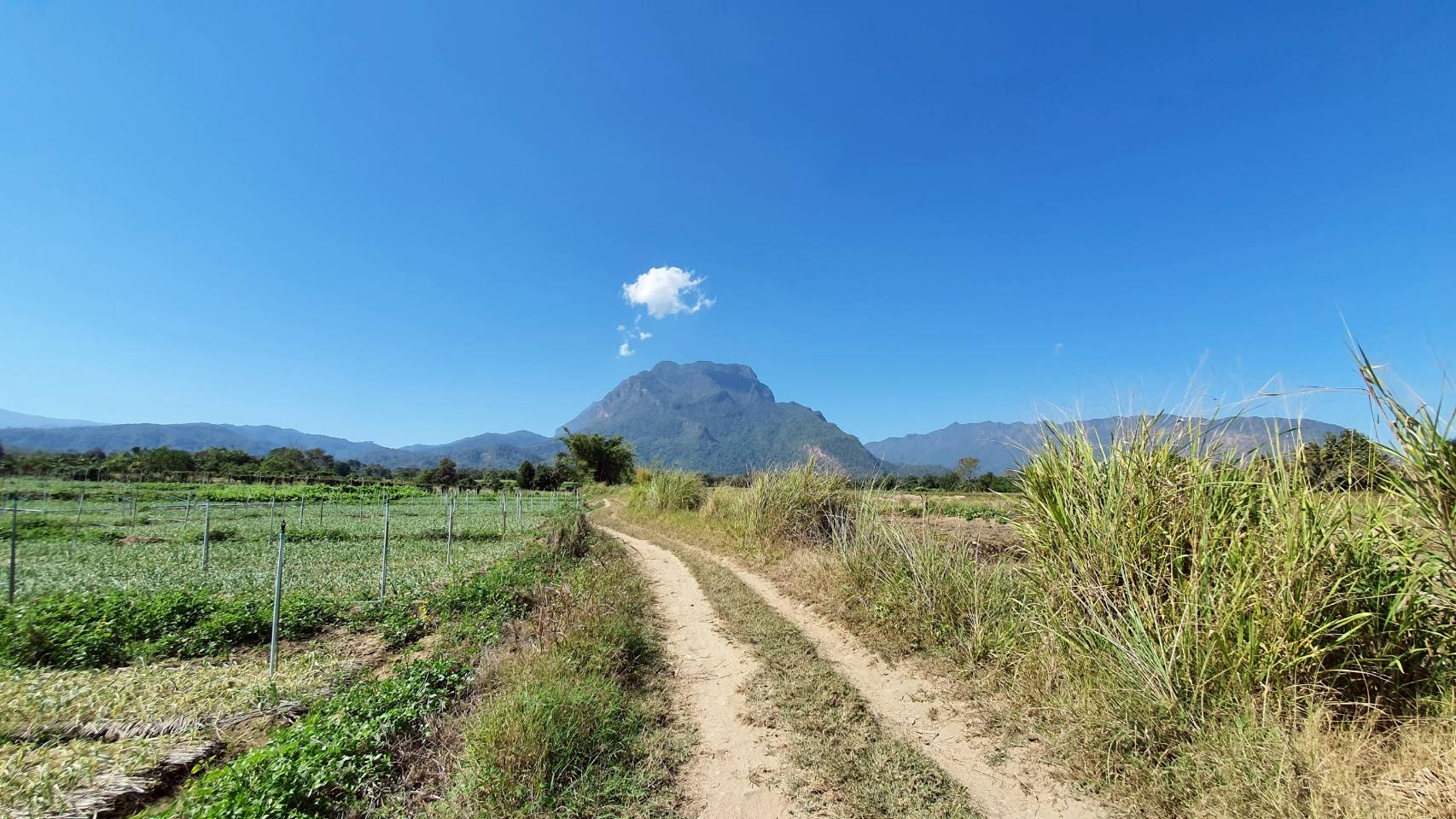 ขายด่วน ที่ดิน อำเภอเชียงดาว เชียงใหม่  วิวดอยหลวง สวยมาก  เนื้อที่รวม 4 ไร่ 