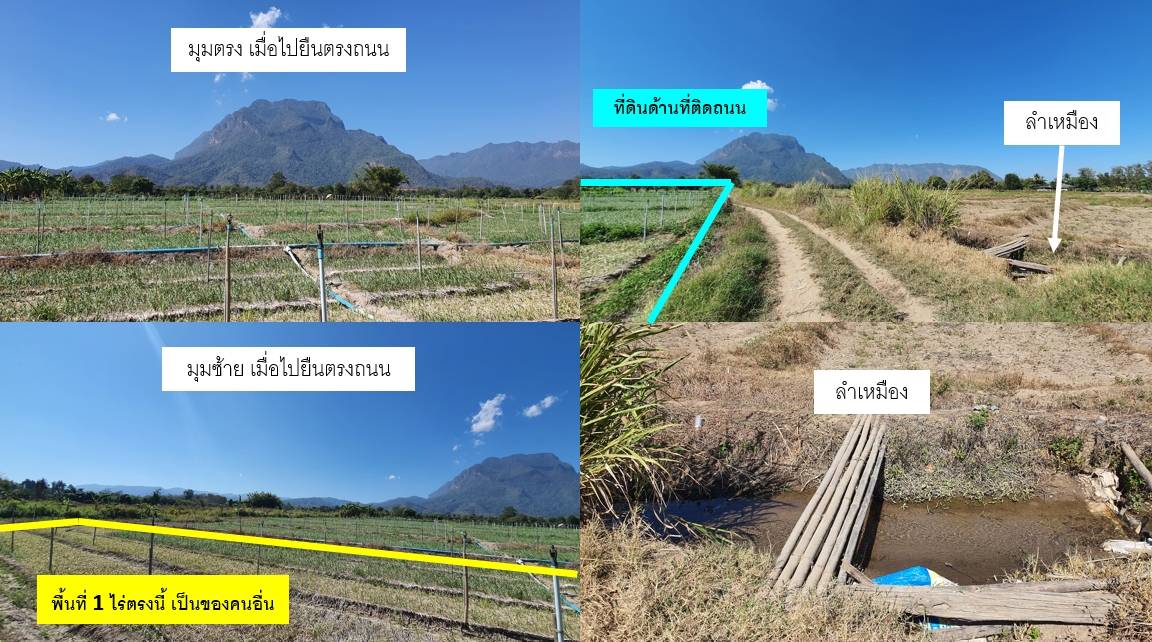 ขายด่วน ที่ดิน อำเภอเชียงดาว เชียงใหม่  วิวดอยหลวง สวยมาก  เนื้อที่รวม 4 ไร่ 