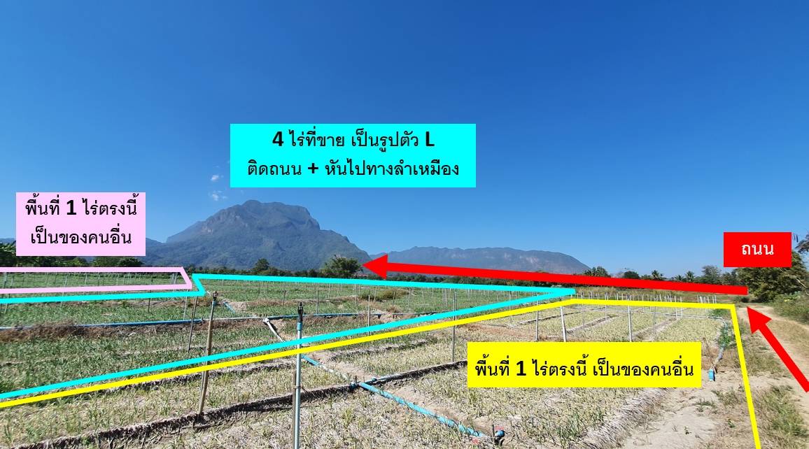 ขายด่วน ที่ดิน อำเภอเชียงดาว เชียงใหม่  วิวดอยหลวง สวยมาก  เนื้อที่รวม 4 ไร่ 