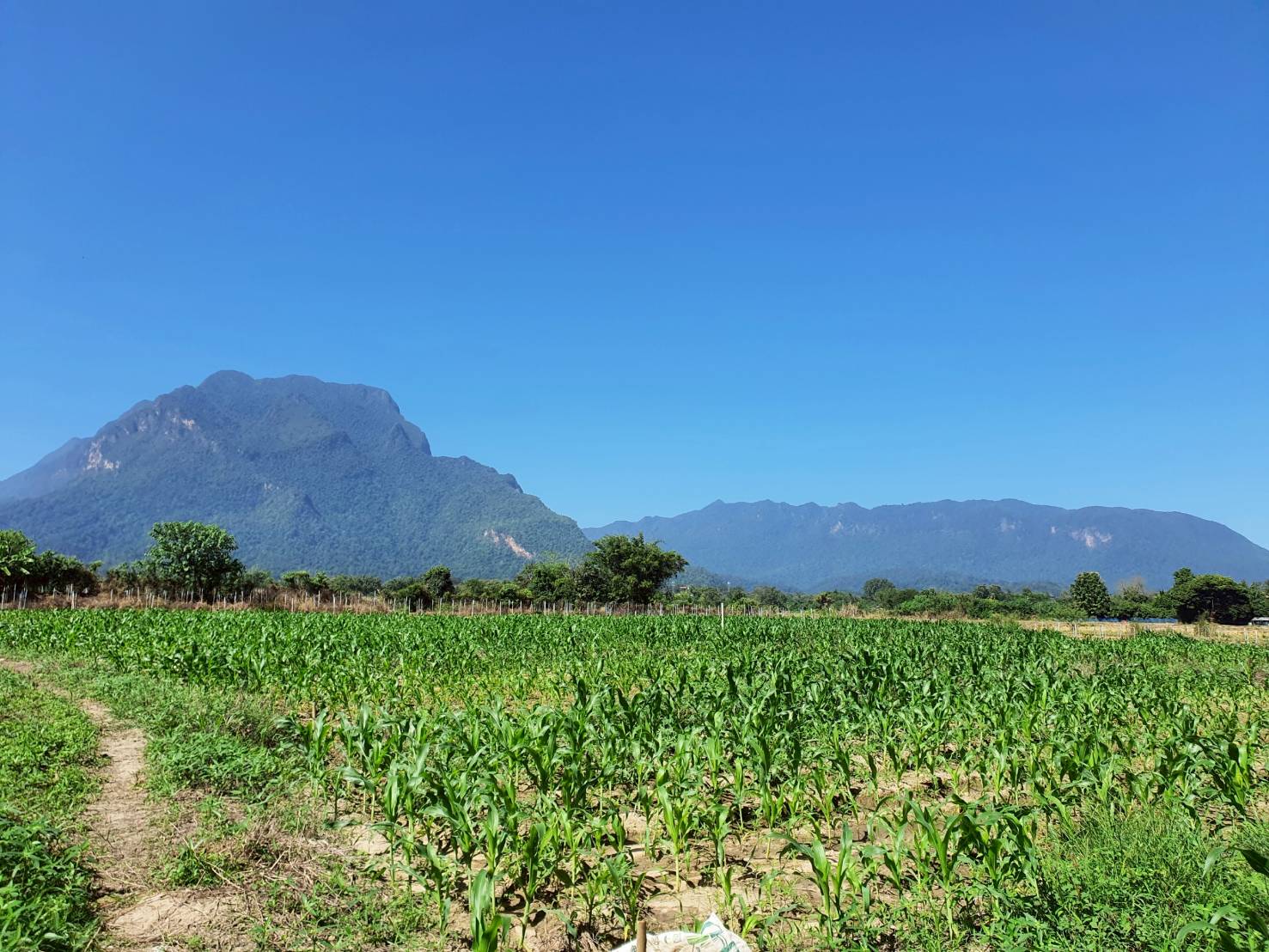 ขายด่วน ที่ดิน อำเภอเชียงดาว เชียงใหม่  วิวดอยหลวง สวยมาก  เนื้อที่รวม 4 ไร่ 