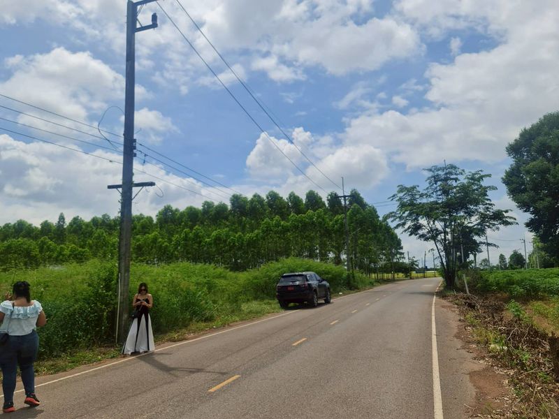 ขายที่ดินเปล่า 15 ไร่ ทำเลดี อำเภอศรีมหาโพธิ จังหวัดปราจีนบุรี #ราคาดีทำเลดีติดต่อผึ้งรติ0619419639 