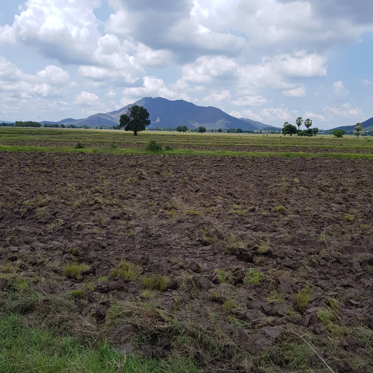 ขายที่ดิน ทำเลทอง ต.ห้วยโป่ง อ. โคกสำโรง  จ.ลพบุรี