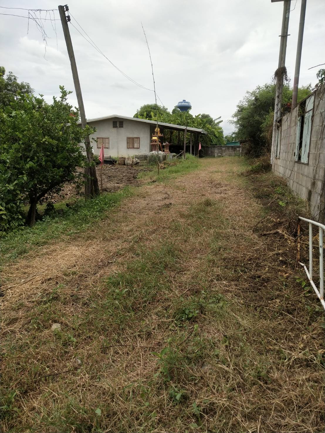 ขายที่ดินทำเลทอง ต.หนองดินแดง อ.เมืองจ.นครปฐม