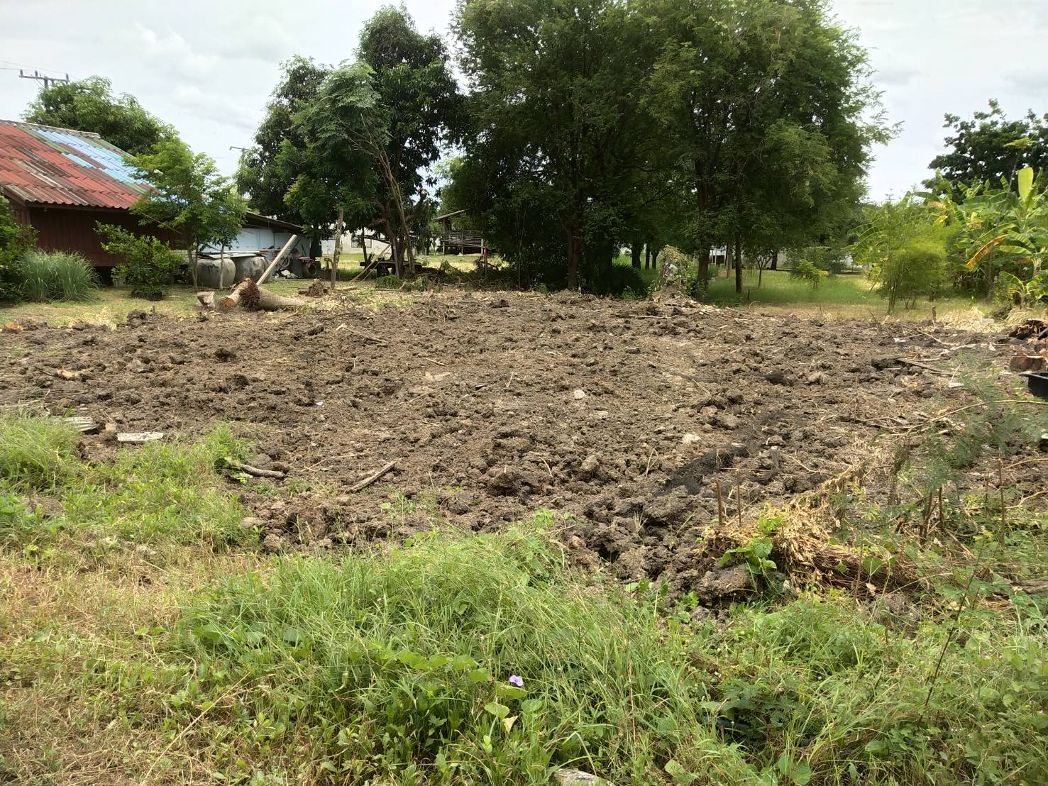 ขายที่ดินทำเลทอง ต.หนองดินแดง อ.เมืองจ.นครปฐม