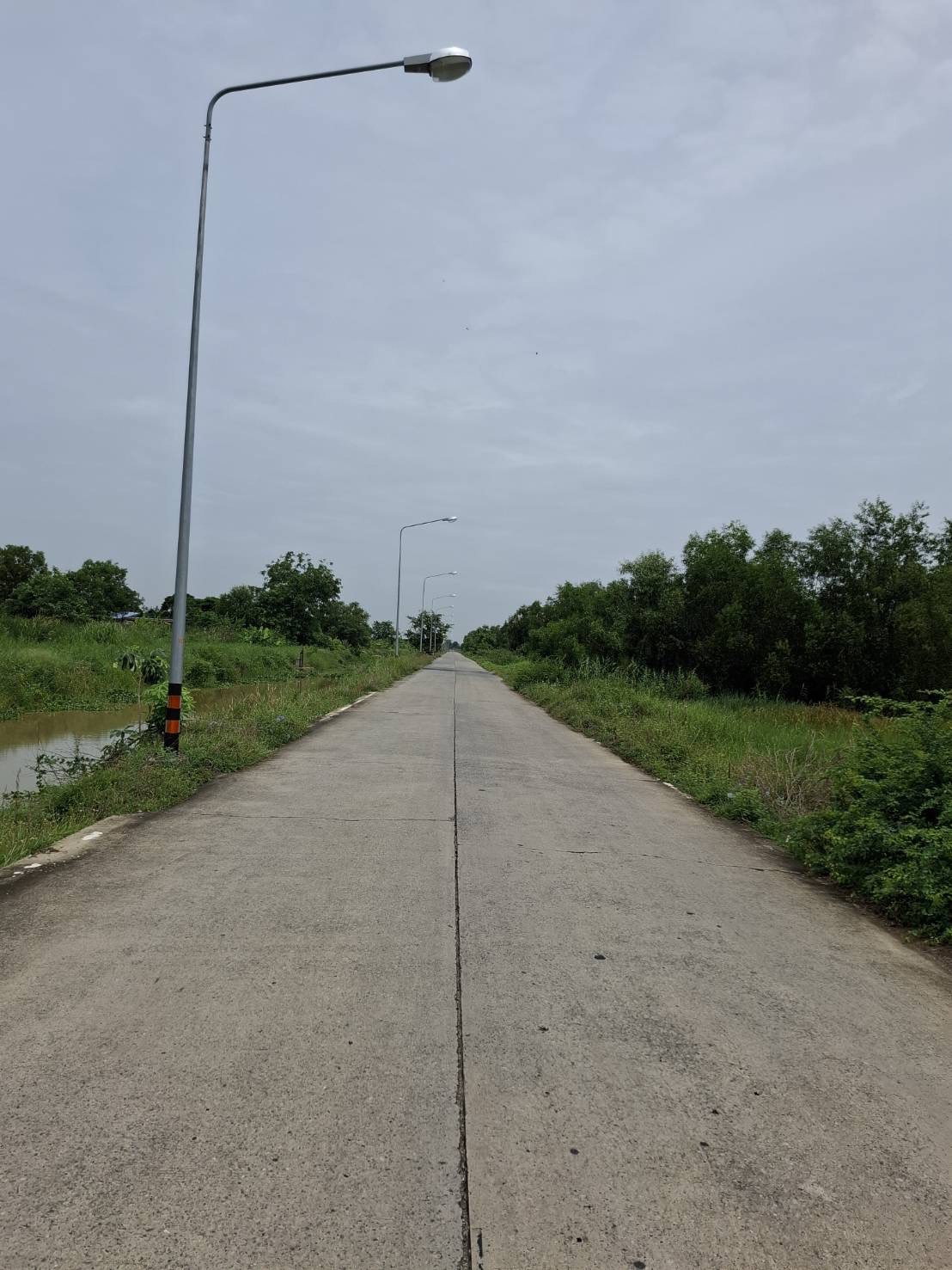 ขายด่วนที่ดินแปลงใหญ่ ติดถนนคอนกรีต ทำเลดี อำเภอหนองเสือ จังหวัดปทุมธานี 