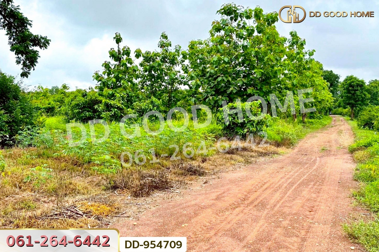 DD-954709 ที่ดินศาลาลำดวน 3 ไร่ 69.5 ตร.ว. สระแก้ว ใกล้โรงเรียนบ้านท่าช้าง