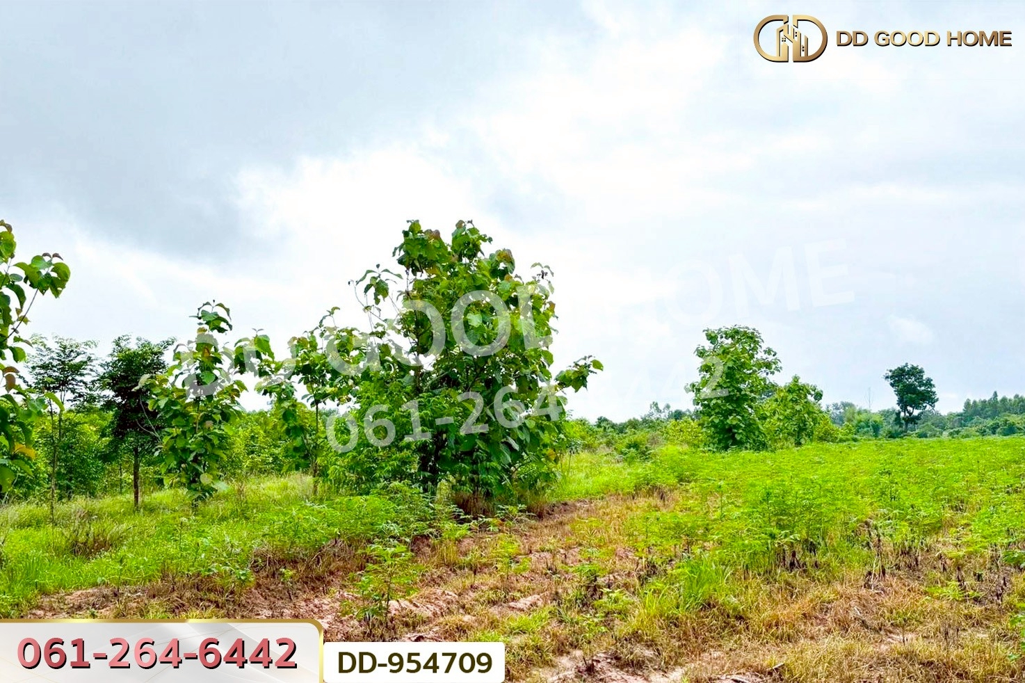 DD-954709 ที่ดินศาลาลำดวน 3 ไร่ 69.5 ตร.ว. สระแก้ว ใกล้โรงเรียนบ้านท่าช้าง