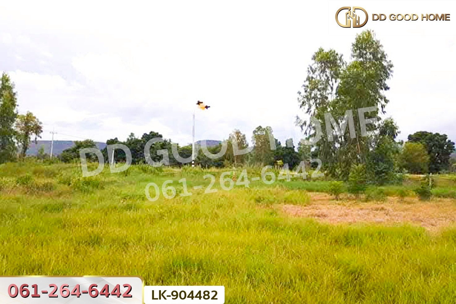 NI-904482 ที่ดินพัฒนานิคม 2 ไร่ ลพบุรี ใกล้เขาพระยาเดินธง