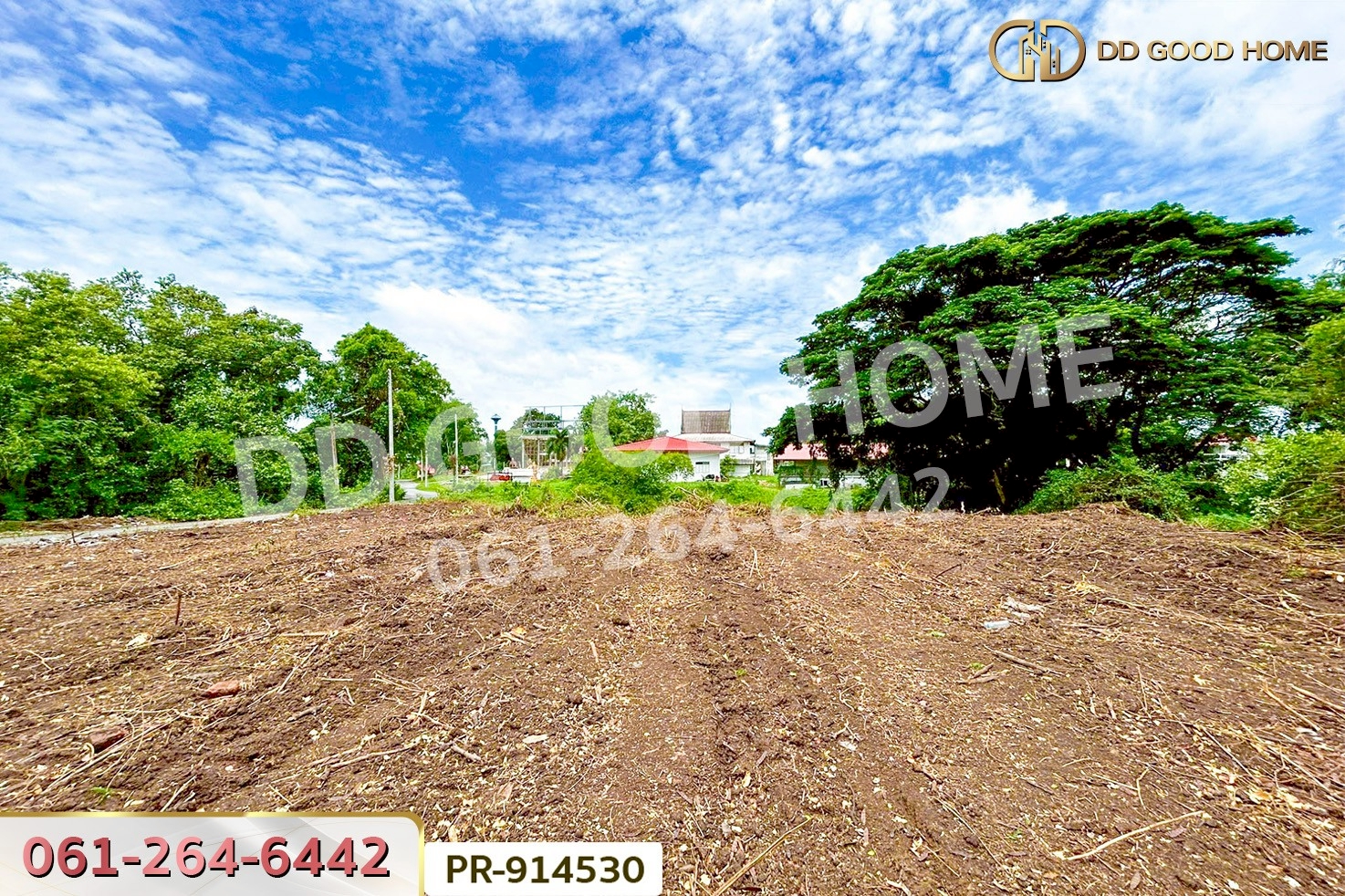 WR-914530 ที่ดินวัดตูม 1 ไร่ 211 ตร.ว. พระนครศรีอยุธยา ใกล้วัดท่าโขลง