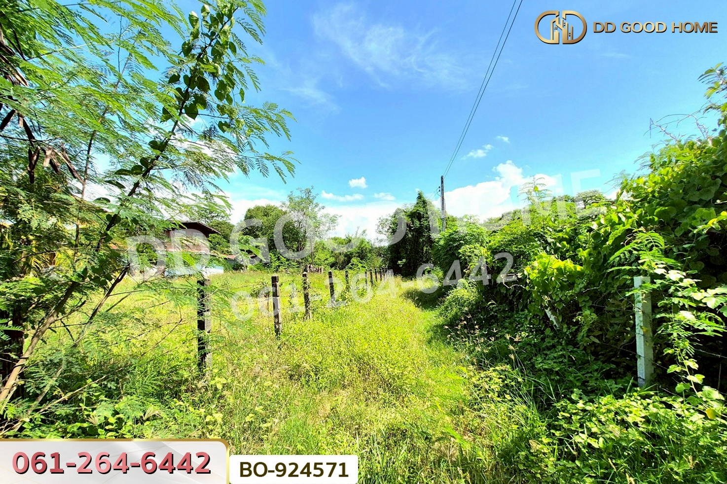 BO-924571 ที่ดินโนนไทย 220.6 ตร.ว. นครราชสีมา ใกล้ที่ว่าการอำเภอโนนไทย